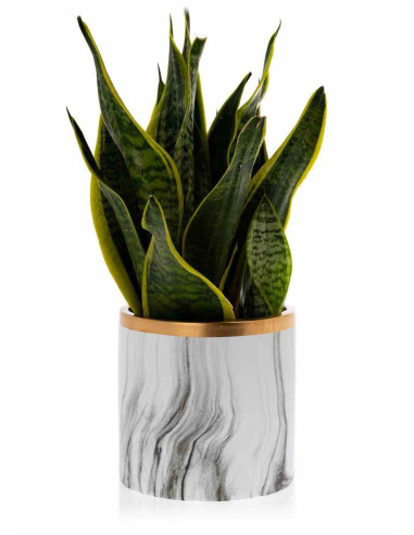 Doniczka Sona Marbling 15 cm Wykonana z...