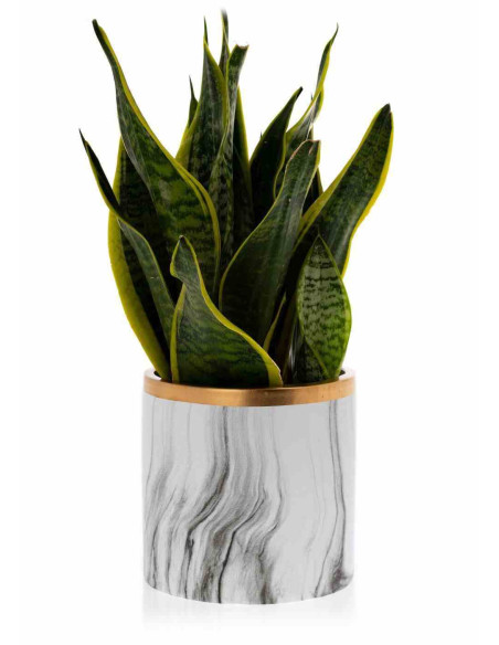 Doniczka Sona Marbling 15 cm Wykonana z ceramiki w kolorze białego marmuru ze złotym wykończeniem o średnicy 15 cm