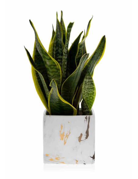 Doniczka Marbela 13 cm Wykonana z ceramiki w kolorze białego marmuru. Wymiary: 13x13x13cm.