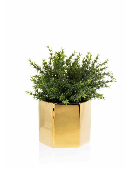 Doniczka Mia Gold 10 cmWykonana z ceramiki w kolorze złotym. Wymiary: 12x10x10 cm.