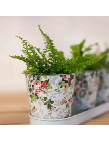 Komplet 3 doniczek na tacy różane