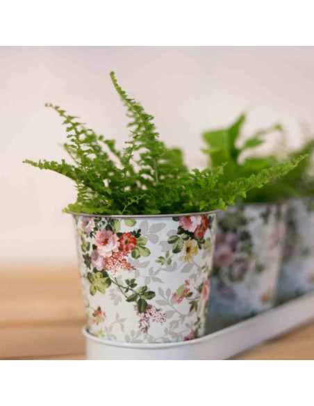 Komplet 3 doniczek na tacy różane