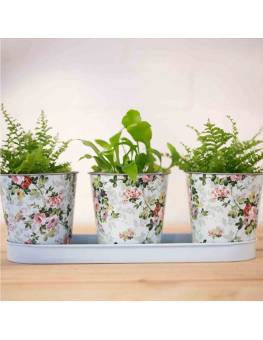 Komplet 3 doniczek na tacy różane