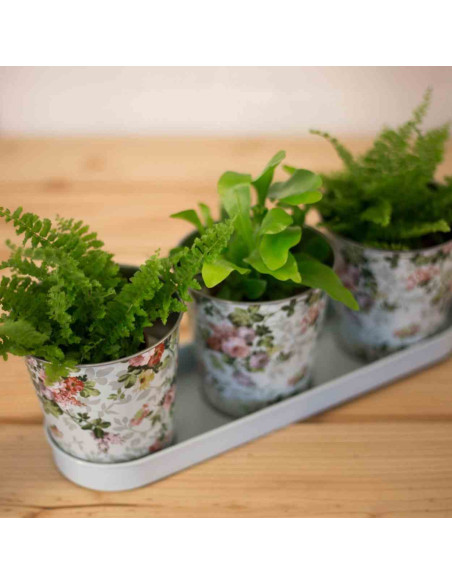 Komplet 3 doniczek na tacy różane